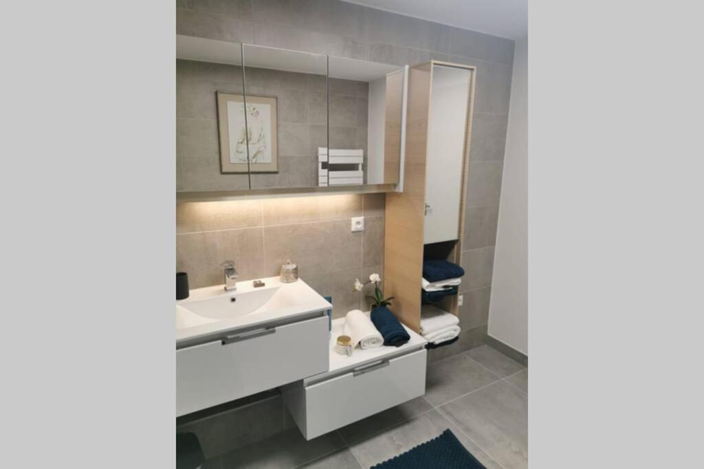 Magnifique F3, 75m² avec Parking privé et Terrasse Leilighet Strasbourg Eksteriør bilde